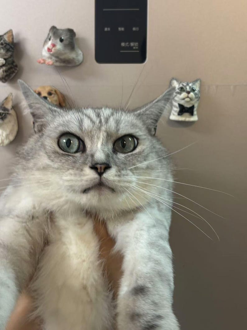 Personalized 3D Pet Head Fridge Stickers,, Pet Lover Home Decor, Custom Gifts for Dog and Cat Lovers, Kitchen Decor, Pet Lover Gifts