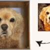 Eternal 3D Pet Portrait