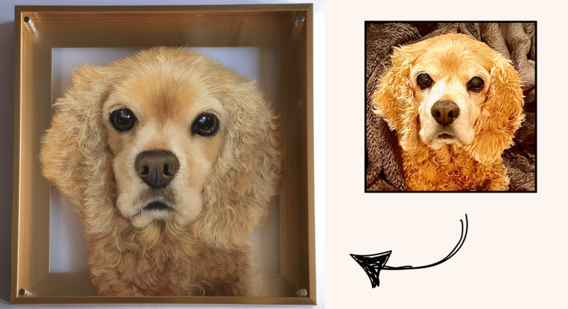 Eternal 3D Pet Portrait