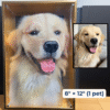 Eternal 3D Pet Portrait