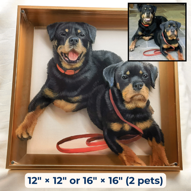 Eternal 3D Pet Portrait