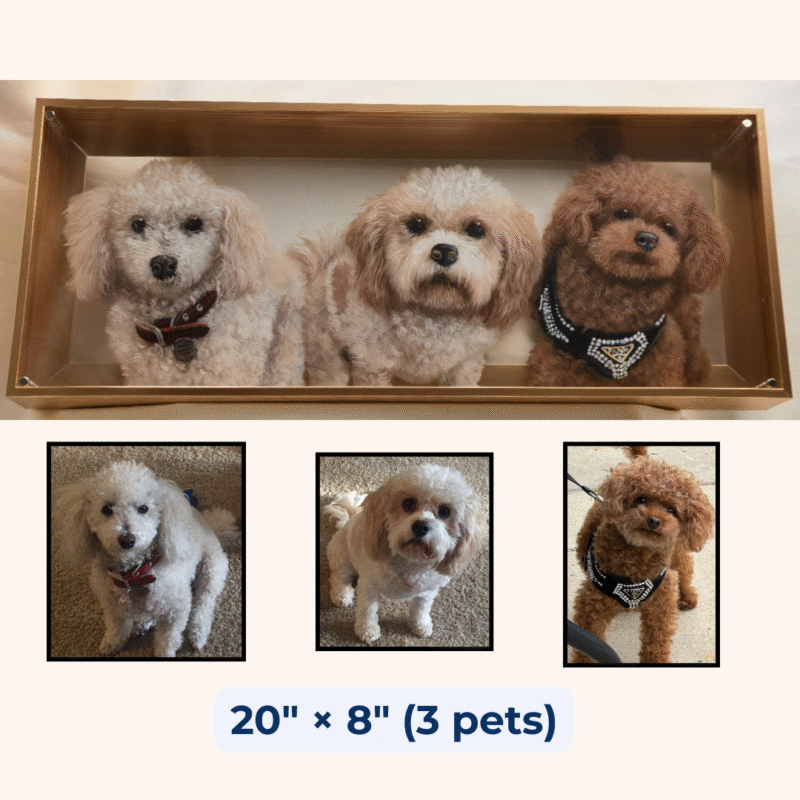 Eternal 3D Pet Portrait