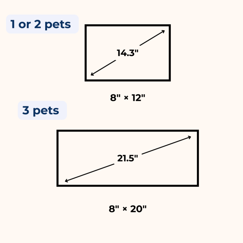 Eternal 3D Pet Portrait