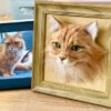 3D Felt Wool Pet Heads | Needle Felt Cat Memorial Photo Frame | Felt Wool Dog & Cat Memorial Photo Frame | Pet Lover Gifts | Pet Loss Gifts