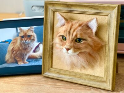 3D Felt Wool Pet Heads | Needle Felt Cat Memorial Photo Frame | Felt Wool Dog & Cat Memorial Photo Frame | Pet Lover Gifts | Pet Loss Gifts