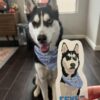 Personalized Dog Stickers - Hand Drawn | custom pet sticker, custom dog sticker, dog face sticker, sticker of my dog, stickers of my pet