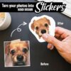 Personalized Dog Stickers - Hand Drawn | custom pet sticker, custom dog sticker, dog face sticker, sticker of my dog, stickers of my pet