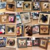 3D Felt Wool Pet Heads | Needle Felt Cat Memorial Photo Frame | Felt Wool Dog & Cat Memorial Photo Frame | Pet Lover Gifts | Pet Loss Gifts