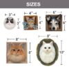 3D Felt Wool Pet Heads | Needle Felt Cat Memorial Photo Frame | Felt Wool Dog & Cat Memorial Photo Frame | Pet Lover Gifts | Pet Loss Gifts
