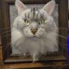 3D Felt Wool Pet Heads | Needle Felt Cat Memorial Photo Frame | Felt Wool Dog & Cat Memorial Photo Frame | Pet Lover Gifts | Pet Loss Gifts