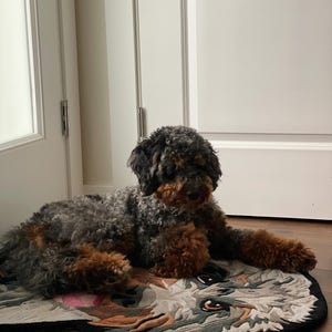 Review_014 Dog Custom Rug Personalized Pet Tufted Rug Handmade Dog Rug Custom Dog Portrait Custom Cat Carpet Pet Memorial Gift Dog Remembrance Gift