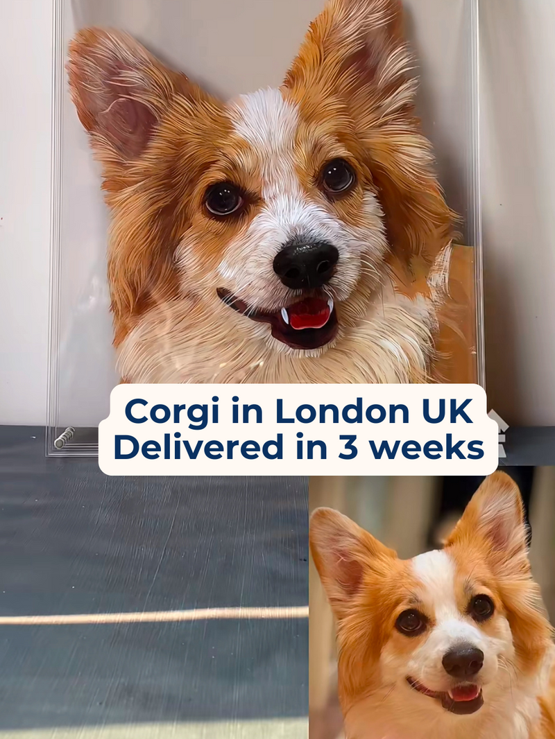 DM_20250702174639_001