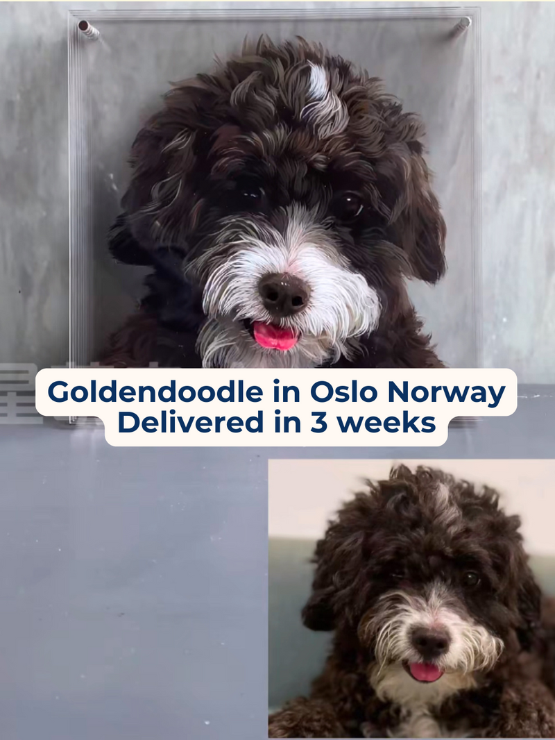 DM_20250702174639_003