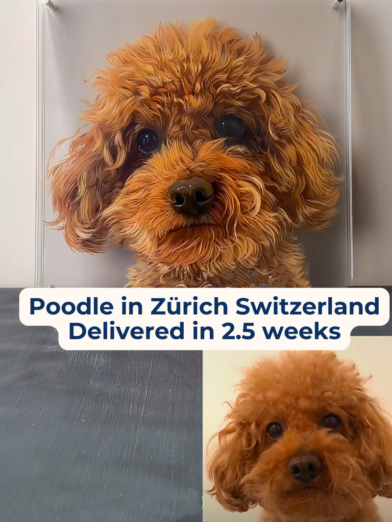 DM_20250702174639_004