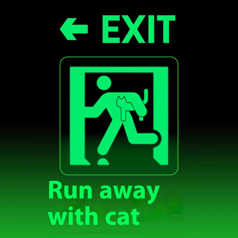 Run with the cat badge